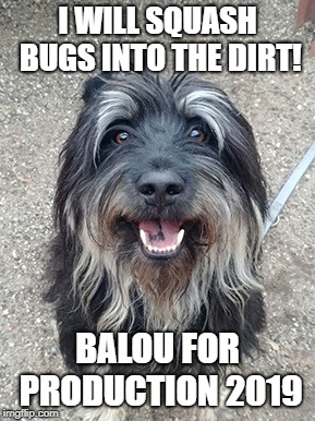 Balou for Production 2019