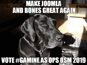 Gamine for Operations 2019