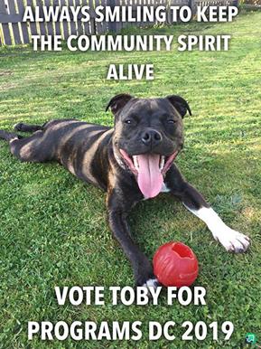 Toby for Programs 2019